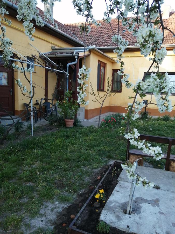 Harsfak Villa Mezokovacshaza Bagian luar foto