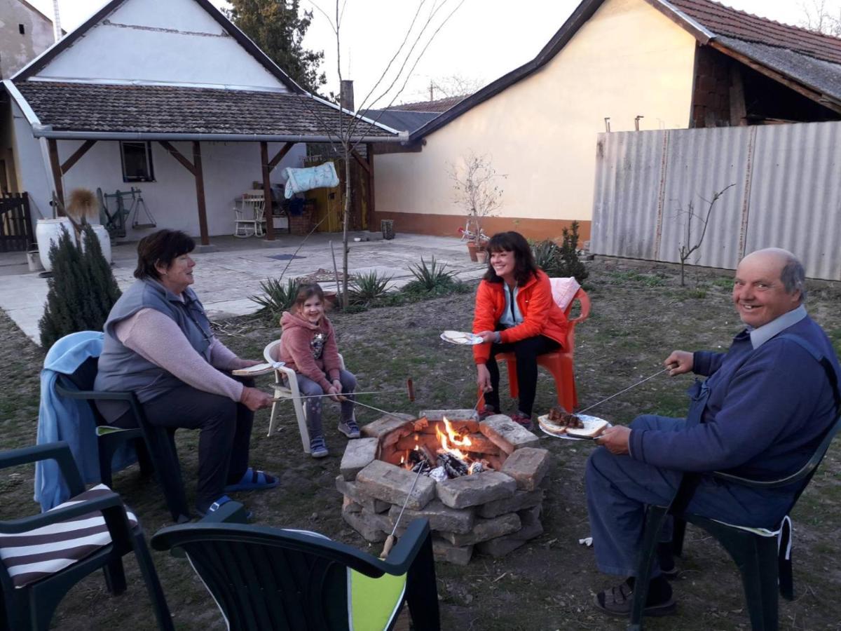 Harsfak Villa Mezokovacshaza Bagian luar foto