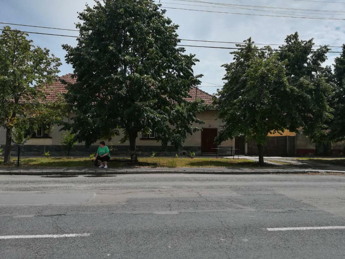Harsfak Villa Mezokovacshaza Bagian luar foto