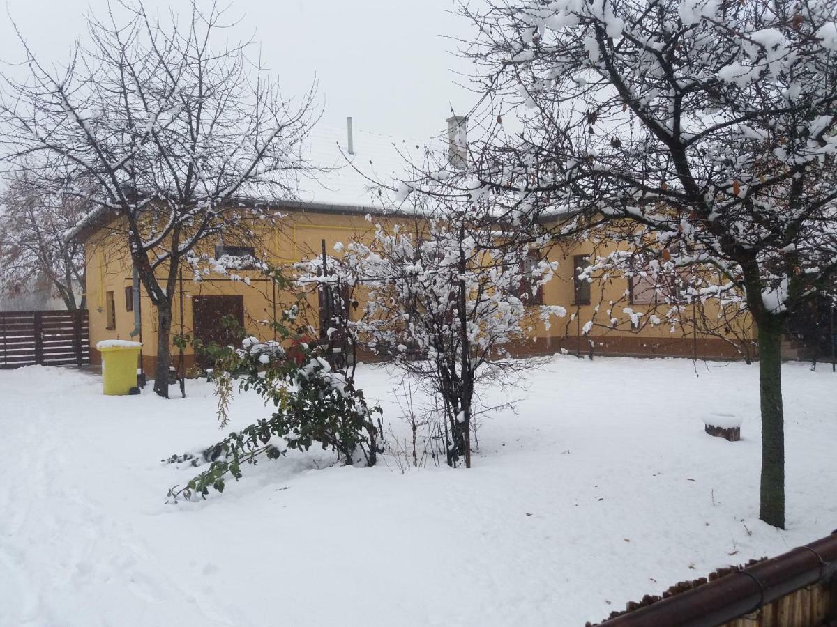 Harsfak Villa Mezokovacshaza Bagian luar foto