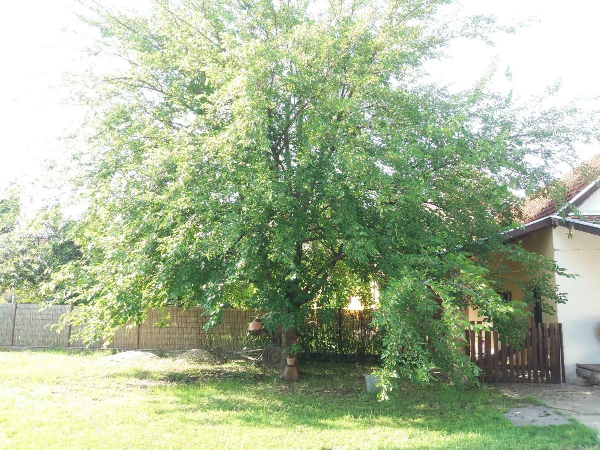Harsfak Villa Mezokovacshaza Bagian luar foto