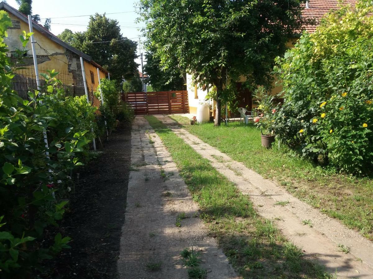 Harsfak Villa Mezokovacshaza Bagian luar foto